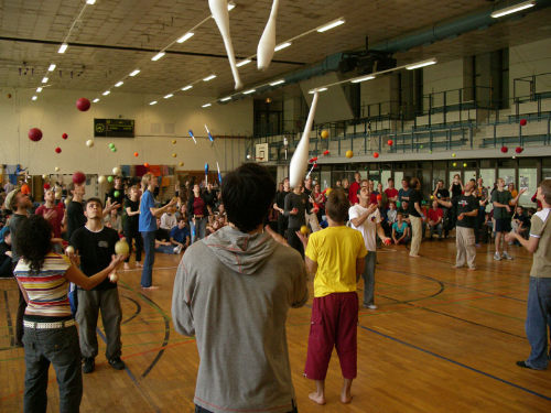 Hallo Halle
